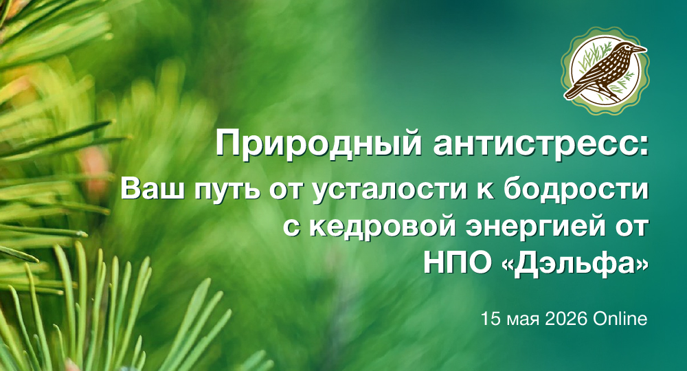Природный антистресс: Ваш путь от усталости к бодрости с кедровой энергией от НПО Дэльфа