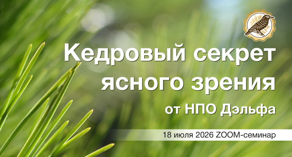 Кедровый секрет ясного зрения от НПО Дэльфа