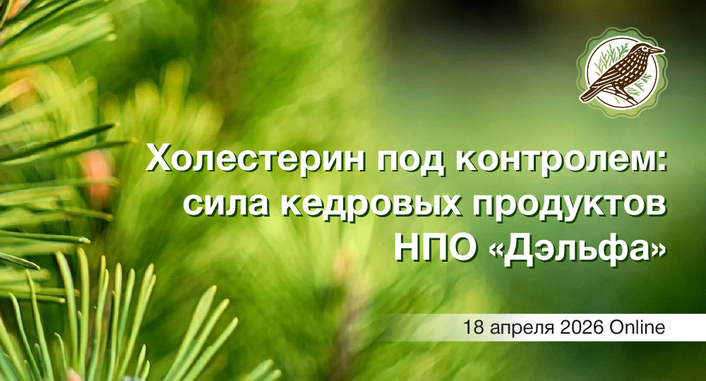 Холестерин под контролем: сила кедровых продуктов НПО «Дэльфа»