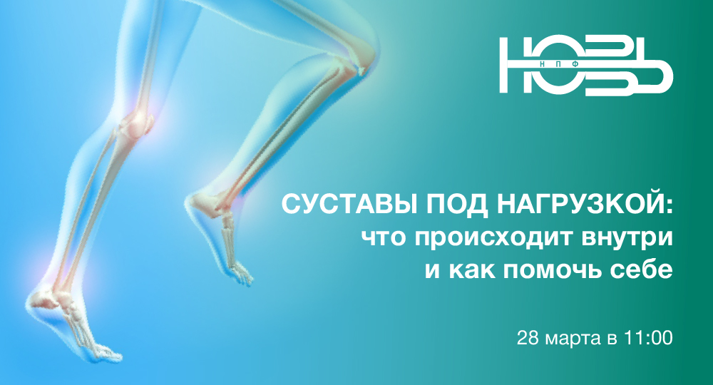 Суставы под нагрузкой: что происходит внутри и как помочь себе