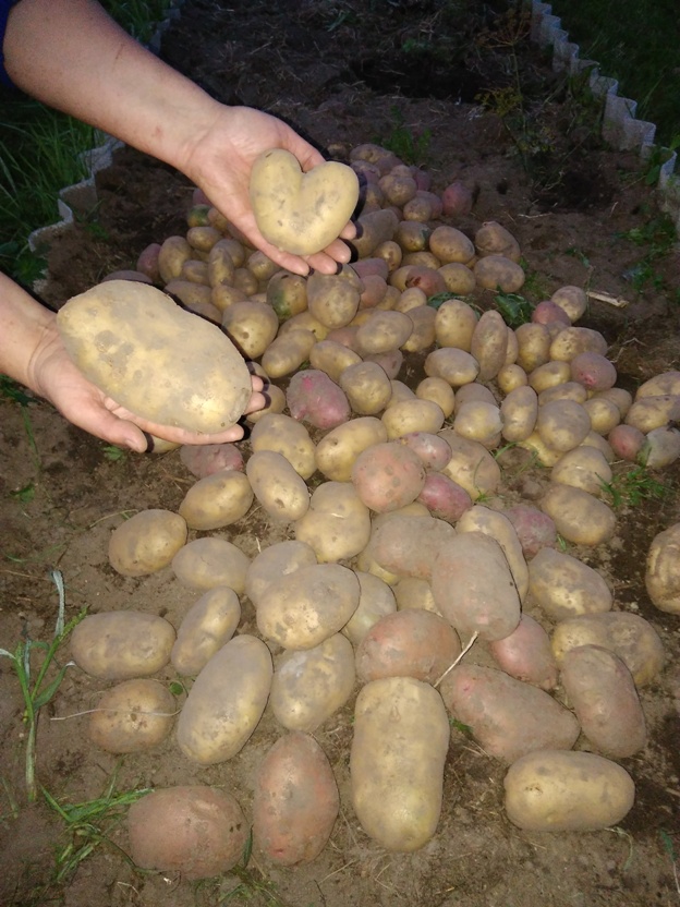 Тимченко 2.jpg