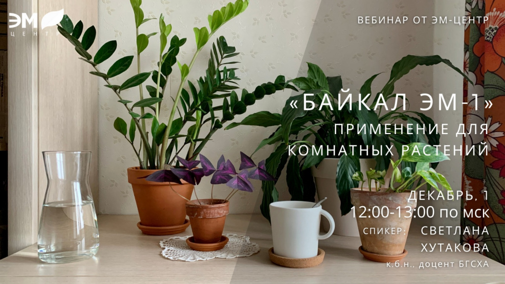 Вэбинар Эм-центр: "Байкал ЭМ-1 для комнатных растений"
