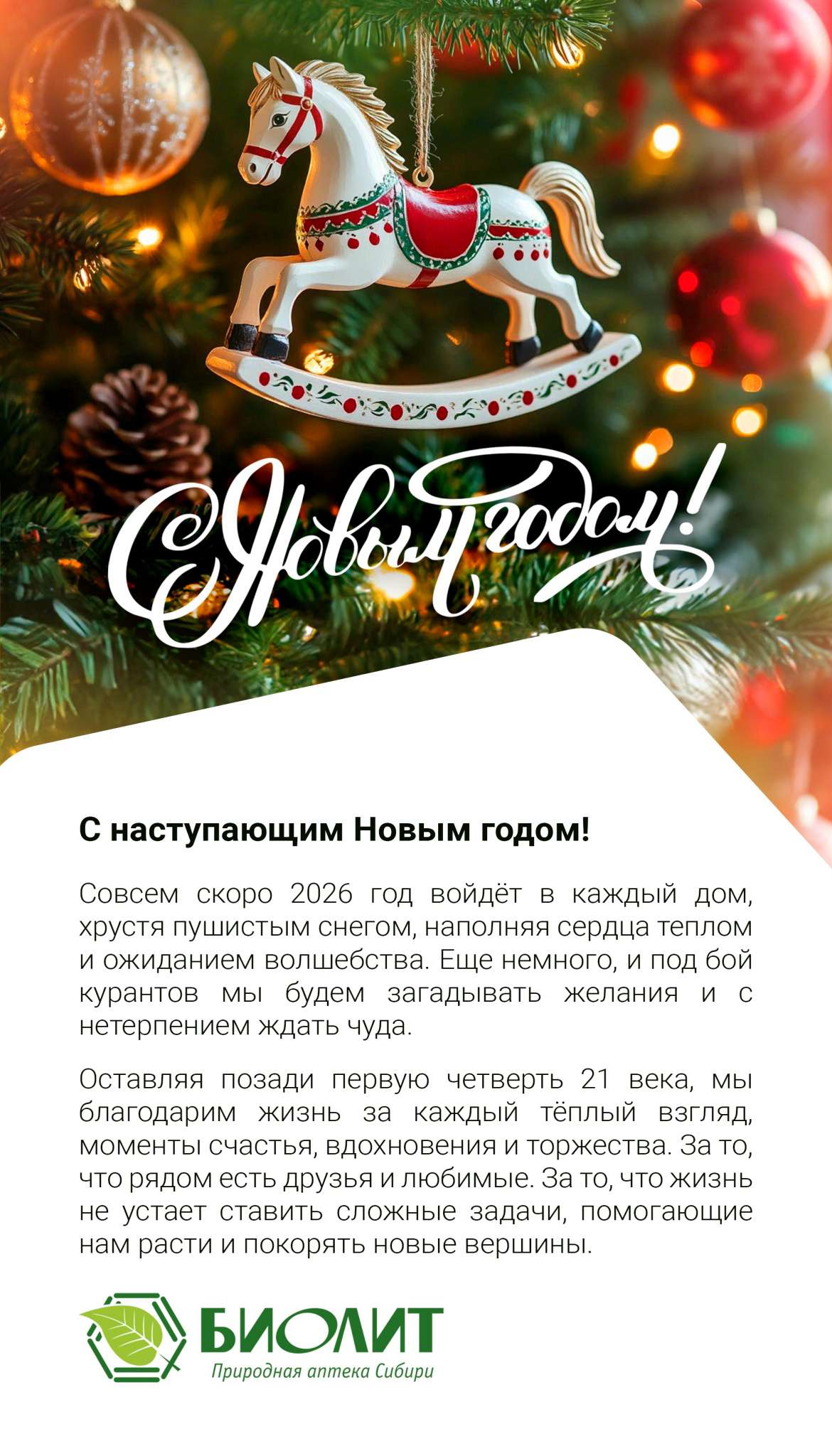 С наступающим Новым годом! БИОЛИТ 2026.jpg